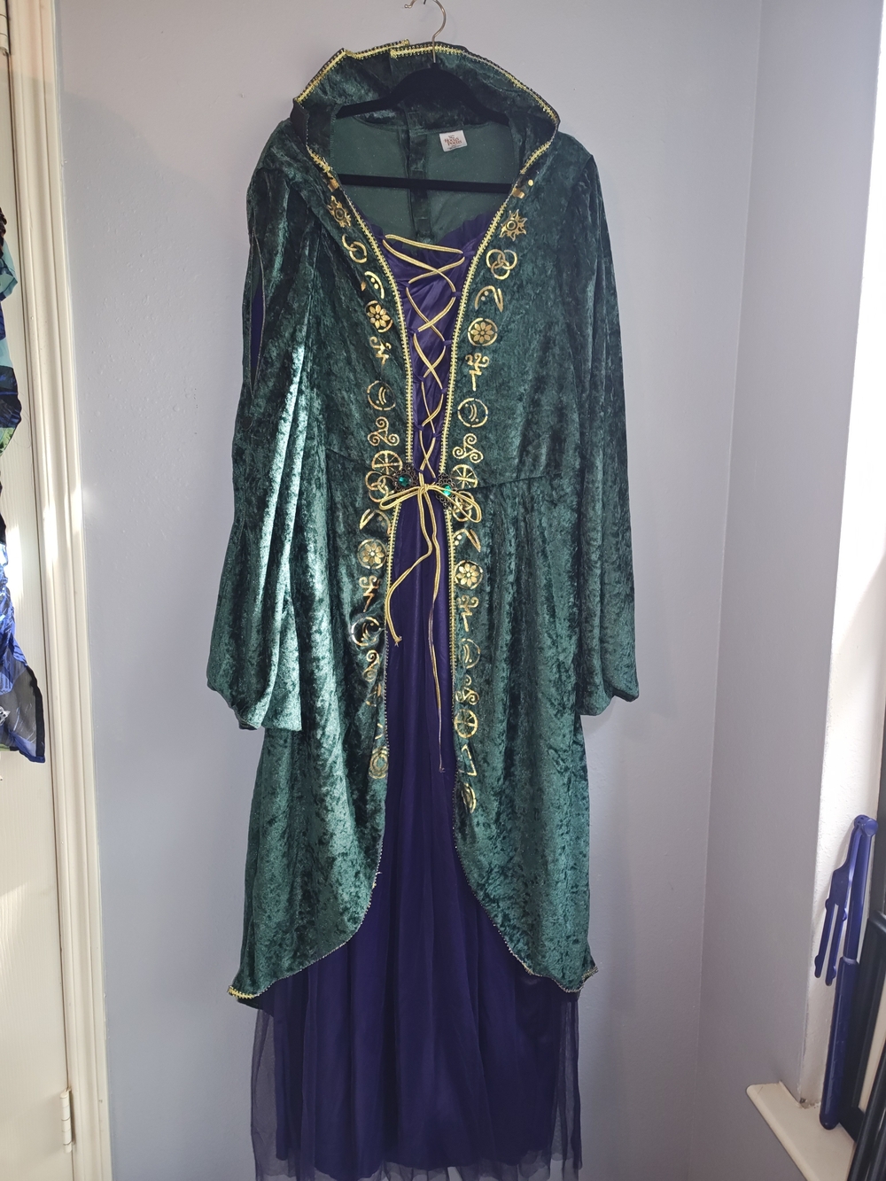 Plus Size Hocus Pocus Winifred Sanderson Costume